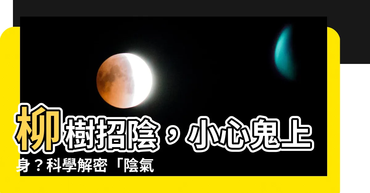 【柳樹招陰】柳樹招陰，小心鬼上身？科學解密「陰氣」之謎