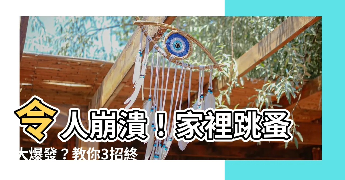 【家裏有跳蚤怎麼辦】令人崩潰！家裡跳蚤大爆發？教你3招終極除蚤術！
