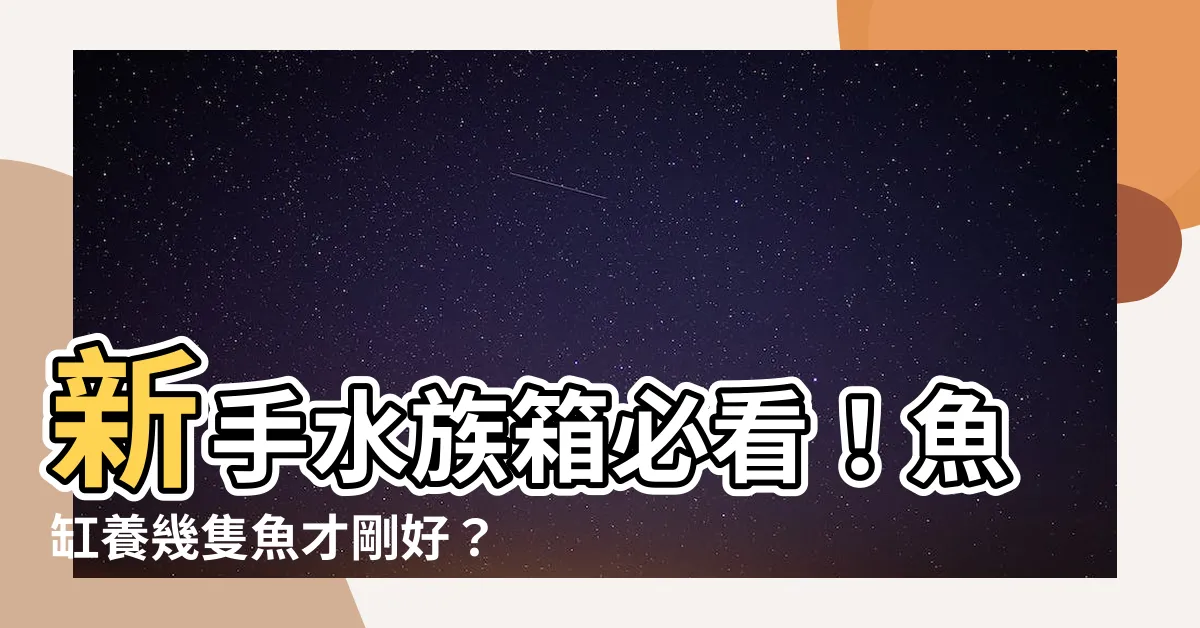 【魚缸要養幾隻魚】新手水族箱必看！魚缸養幾隻魚才剛好？