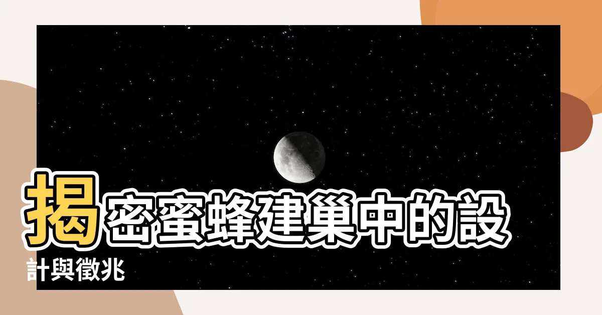 【蜜蜂建巢】揭密蜜蜂建巢中的設計與徵兆