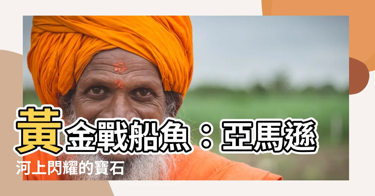 【黃金戰船魚】黃金戰船魚：亞馬遜河上閃耀的寶石