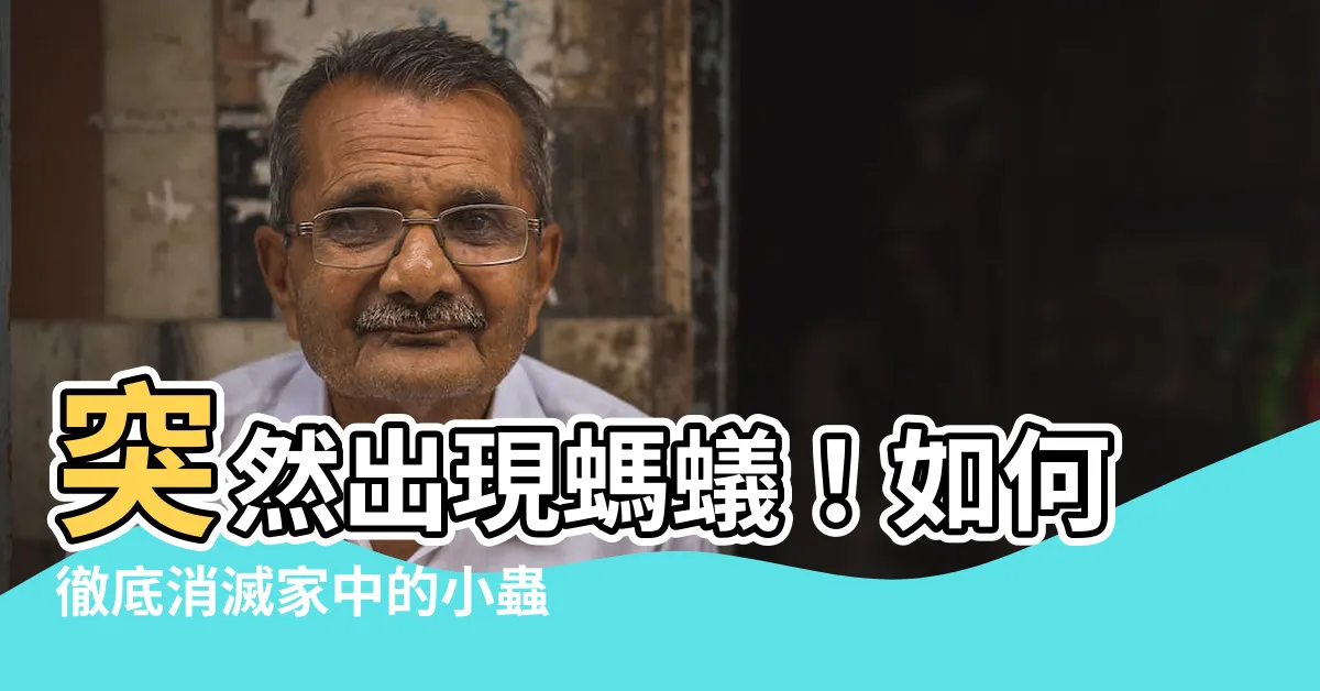 【突然出現螞蟻】突然出現螞蟻！如何徹底消滅家中的小蟲蟲？