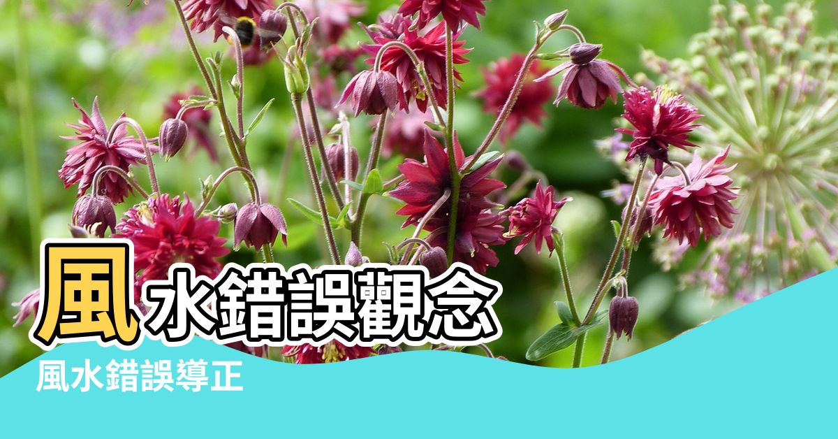 【錯誤的風水】風水錯誤觀念 |風水錯誤導正 |7分鐘了解 |