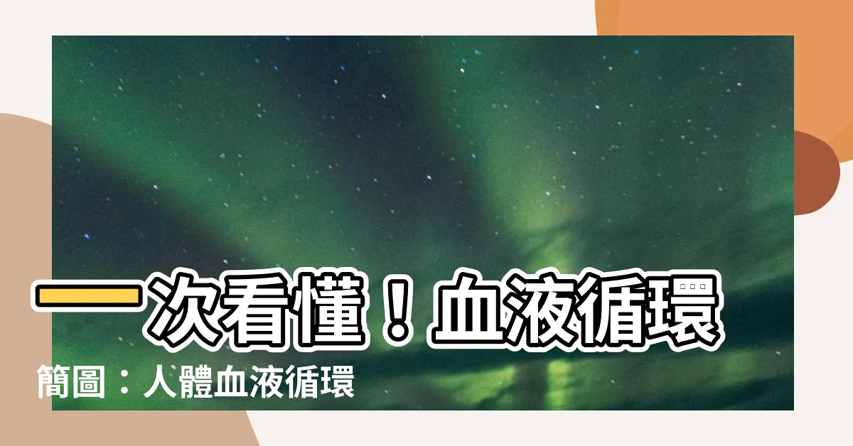 【血液循環簡圖】一次看懂！血液循環簡圖：人體血液循環完整解析