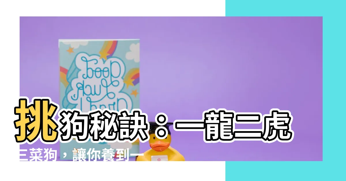 【一龍二虎三菜狗】挑狗秘訣：一龍二虎三菜狗，讓你養到一隻富貴好犬