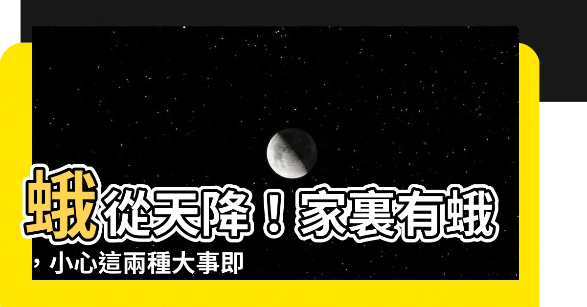 【家裏有蛾】蛾從天降！家裏有蛾，小心這兩種大事即將發生