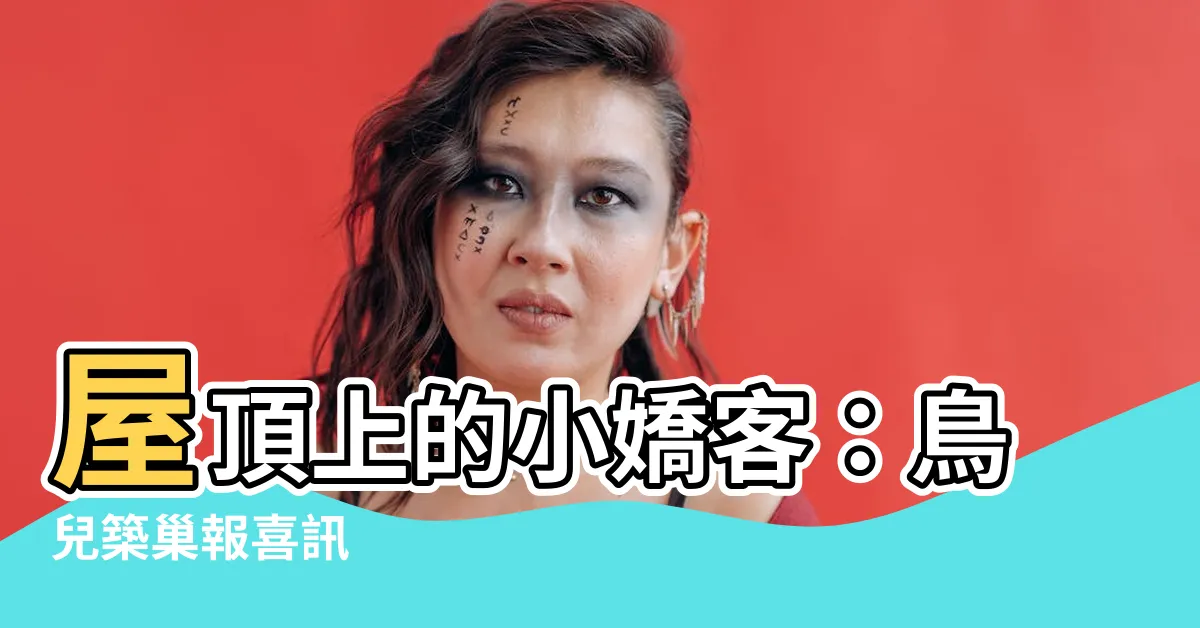 【小鳥來家裏築巢】屋頂上的小嬌客：鳥兒築巢報喜訊
