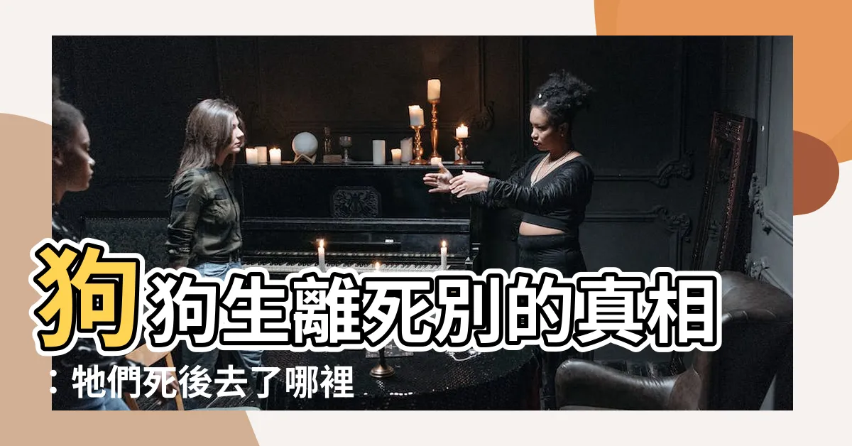 【狗狗死後】狗狗生離死別的真相：牠們死後去了哪裡？