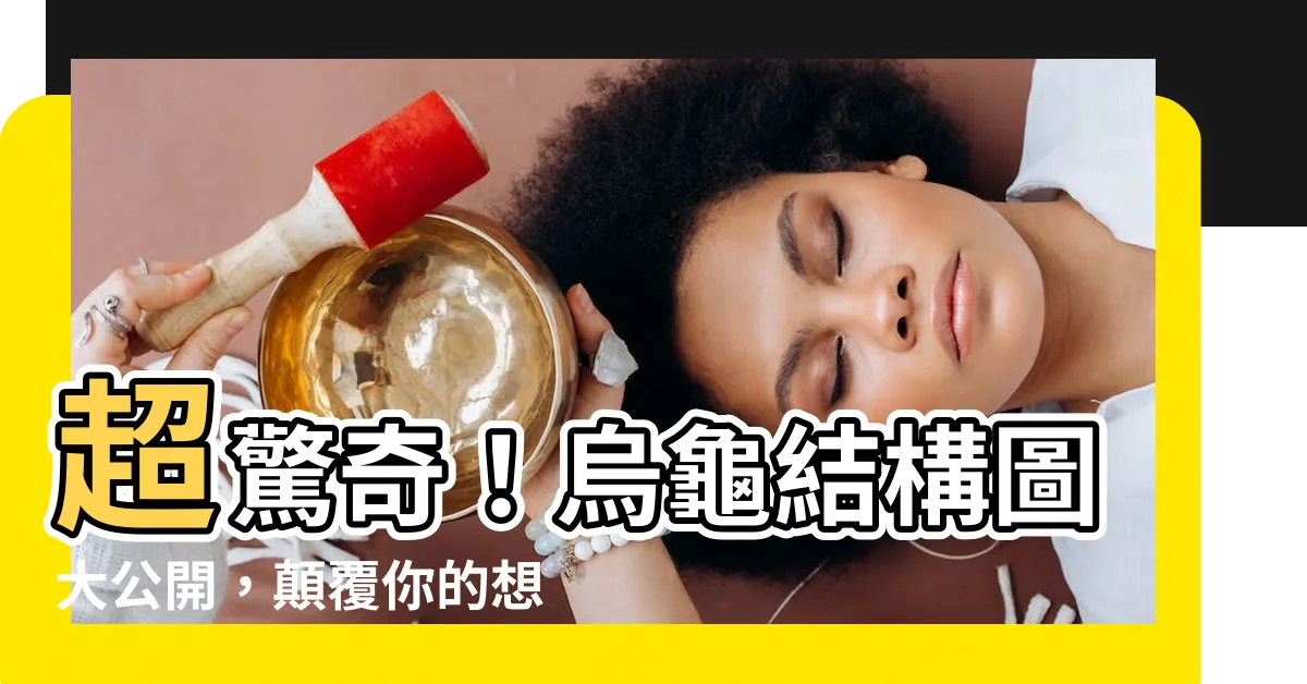 【烏龜構造圖】超驚奇！烏龜結構圖大公開，顛覆你的想像！