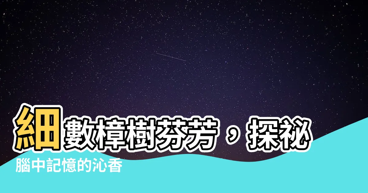 【樟樹的味道】細數樟樹芬芳，探秘腦中記憶的沁香