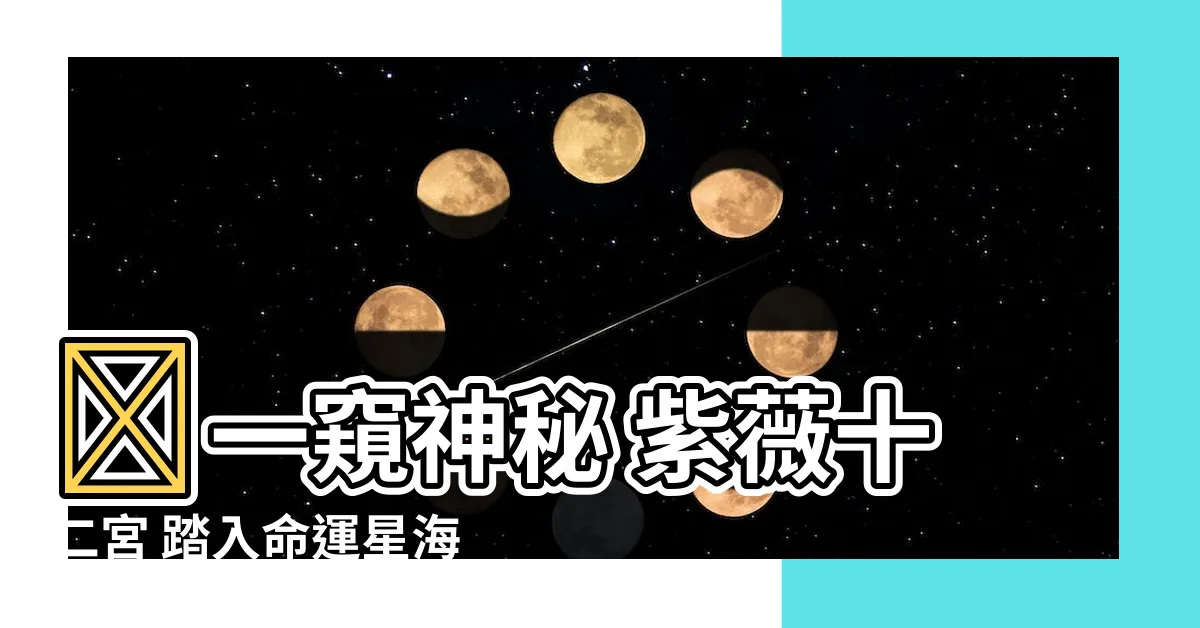 【紫薇十二宮】🌟一窺神秘 紫薇十二宮 踏入命運星海的指引🌟