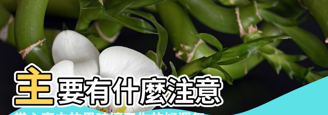 【房子對著鍋爐房的風水】主要有什麼注意 |當心家中的異味壞了你的好運氣 |北窗戶對著鍋爐房的大煙筒 |