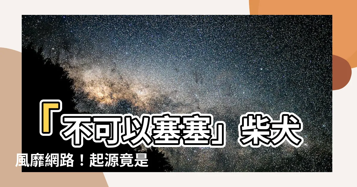 【不可以塞塞】「不可以塞塞」柴犬風靡網路！起源竟是來自...