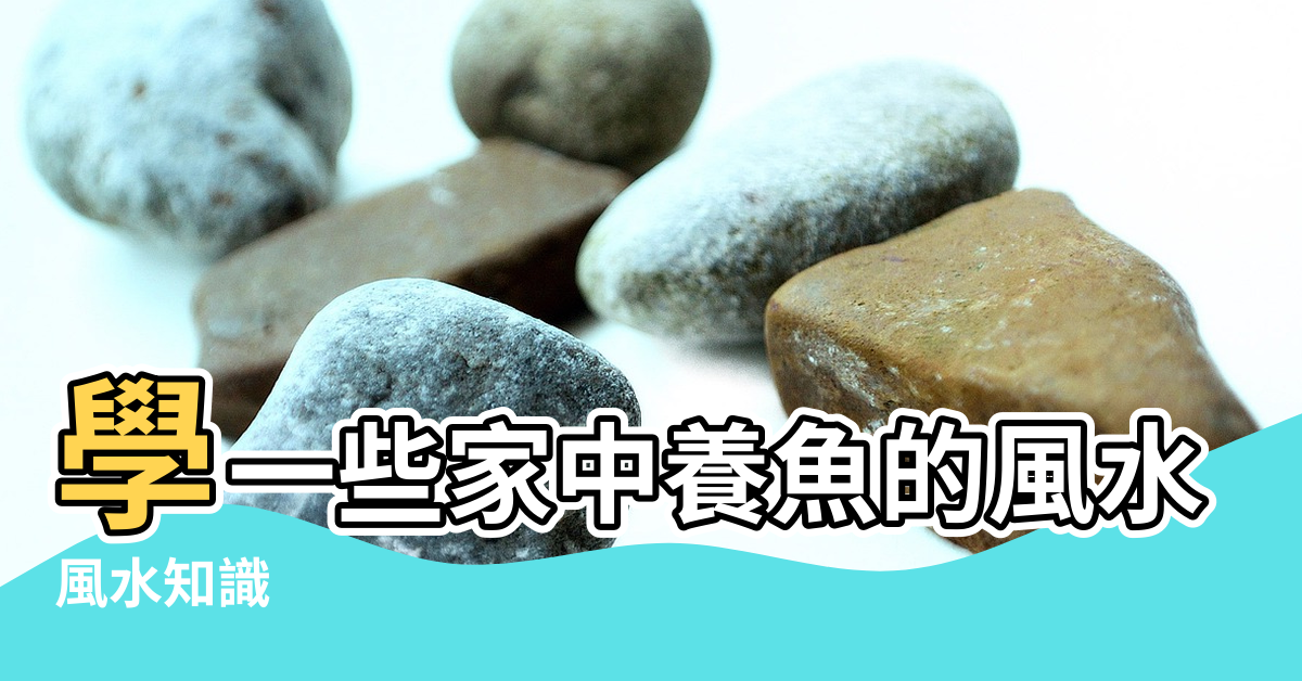 【養育風水】學一些家中養魚的風水學 |風水知識 |養育風水 |