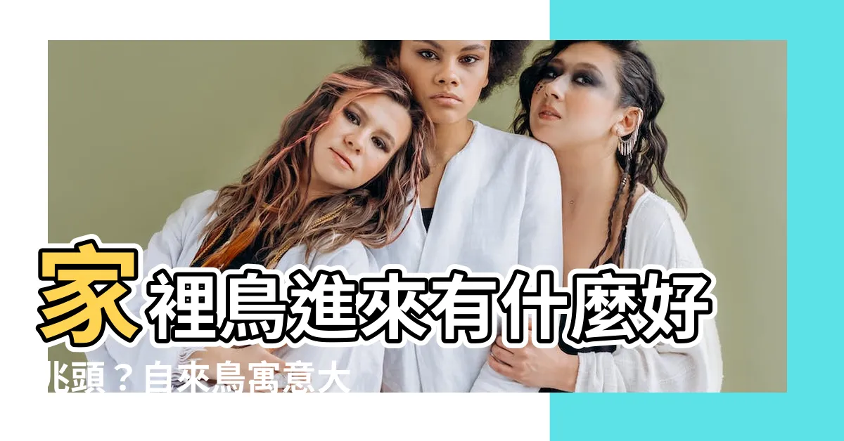 【家裡出現鳥】家裡鳥進來有什麼好兆頭？自來鳥寓意大公開！