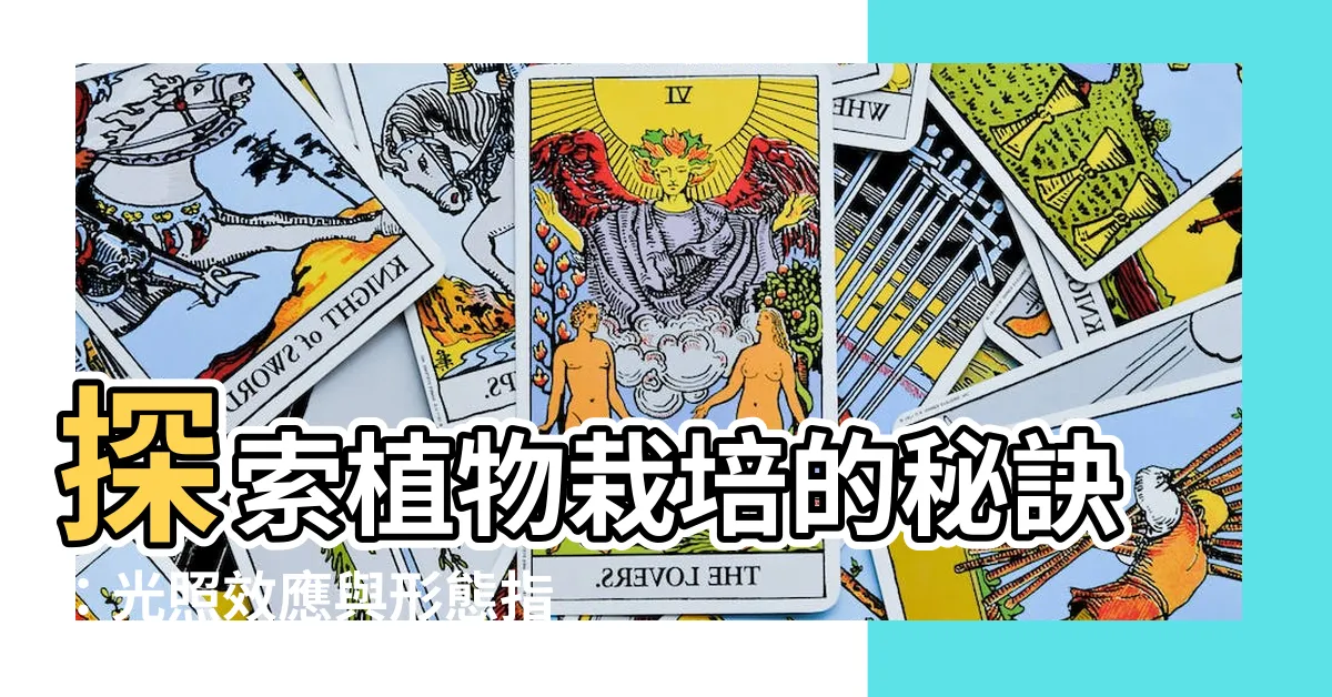 【植物栽培方法】探索植物栽培的秘訣：光照效應與形態指南