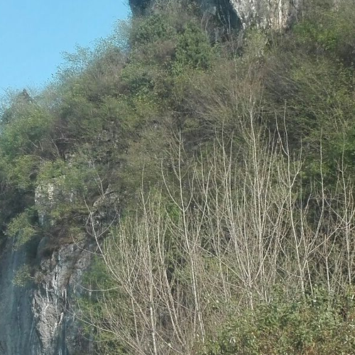 2、武軒獅子山風水寶物