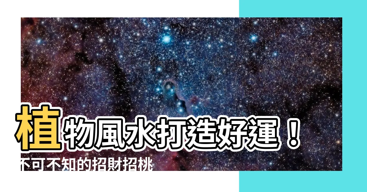 【植物風水】植物風水打造好運！不可不知的招財招桃花植物與禁忌