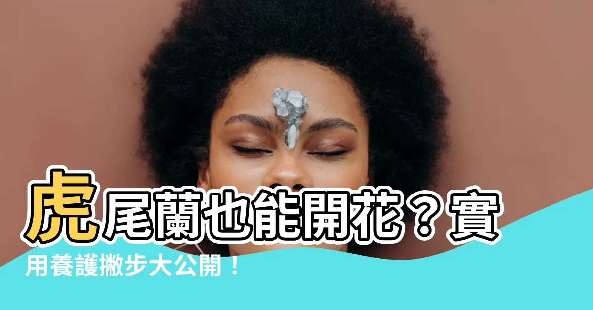 【虎尾蘭會開花】虎尾蘭也能開花？實用養護撇步大公開！