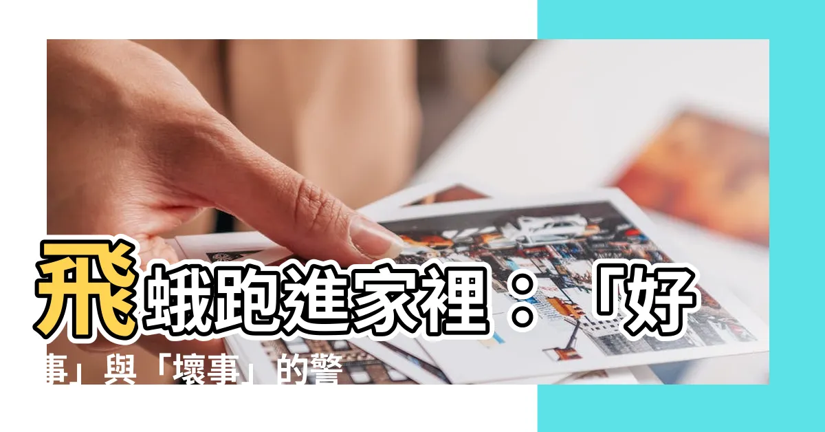 【飛蛾跑進家裡】飛蛾跑進家裡：「好事」與「壞事」的警訊！