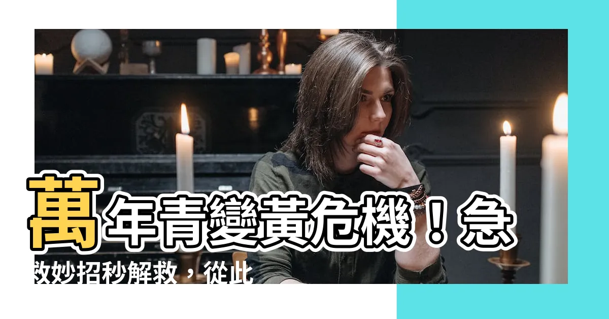 【萬年青變黃怎麼辦】萬年青變黃危機！急救妙招秒解救，從此綠意盎然！
