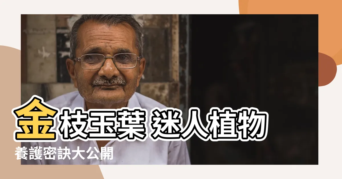 【金枝玉葉 植物】金枝玉葉 迷人植物養護密訣大公開