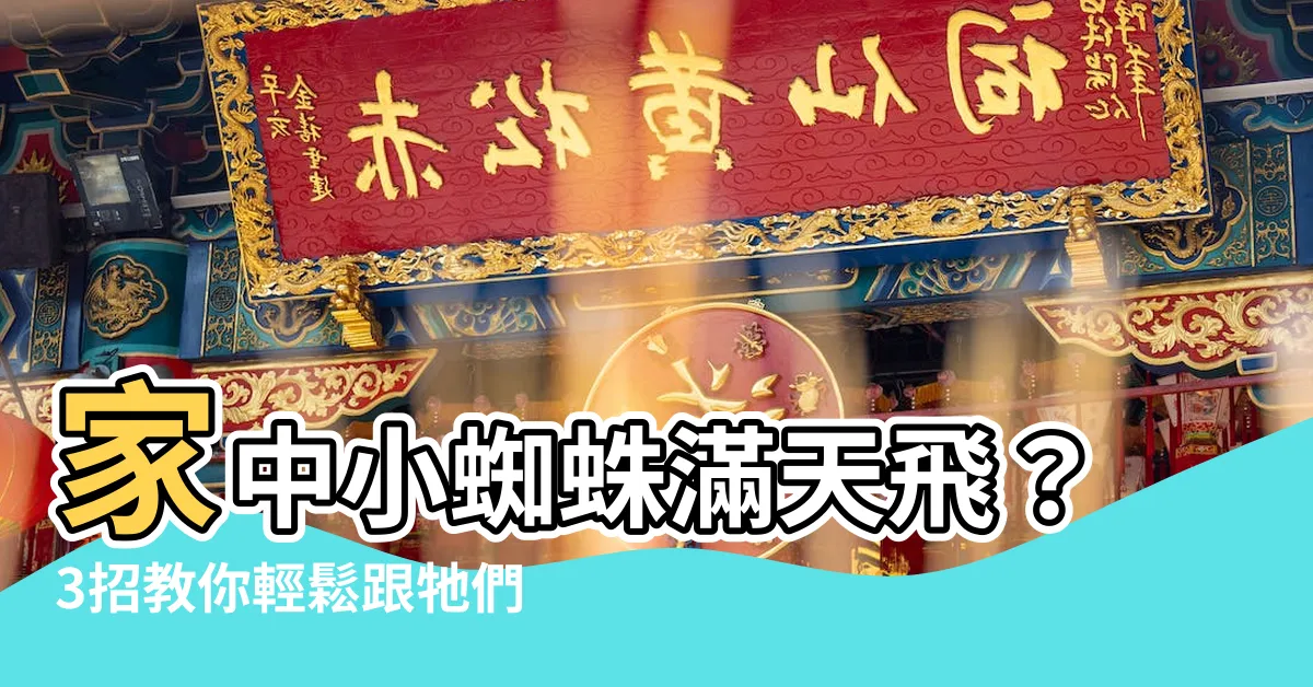 【家裡有很多小蜘蛛】家中小蜘蛛滿天飛？3招教你輕鬆跟牠們説再見！