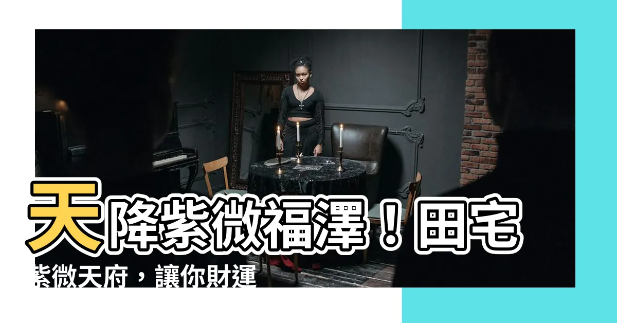 【田宅紫微天府】天降紫微福澤！田宅紫微天府，讓你財運亨通