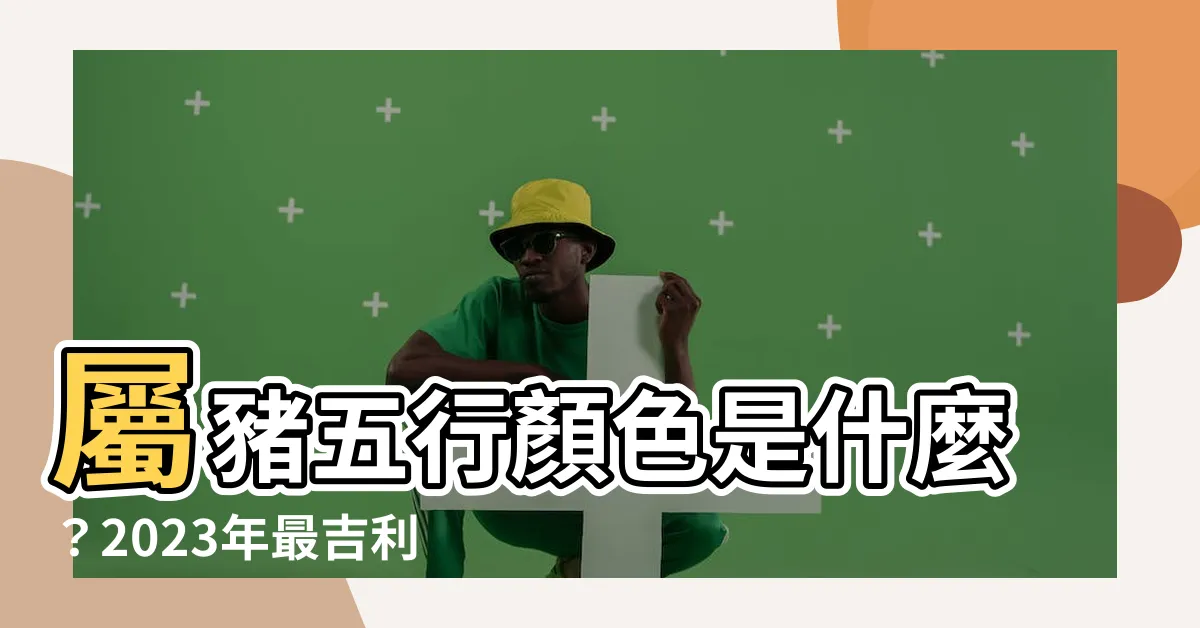 【屬豬五行顏色】屬豬五行顏色是什麼？2023年最吉利的幸運色揭曉！