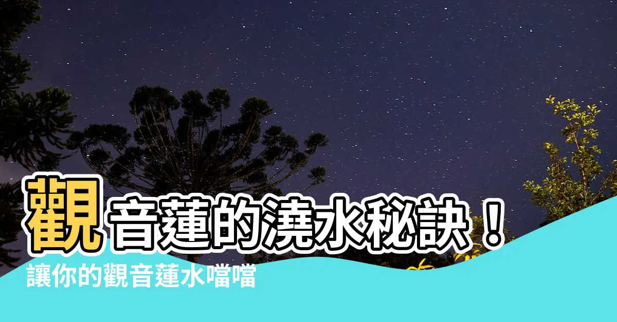 【觀音蓮 澆水】觀音蓮的澆水秘訣！讓你的觀音蓮水噹噹