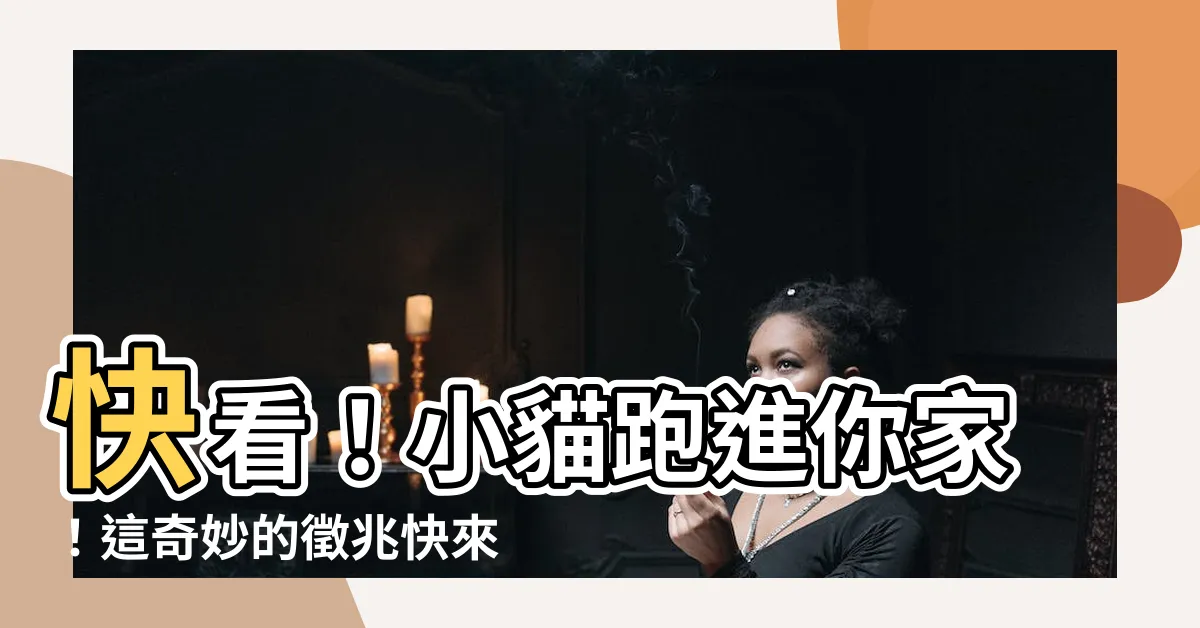 【小貓跑進家裡】快看！小貓跑進你家！這奇妙的徵兆快來瞭解
