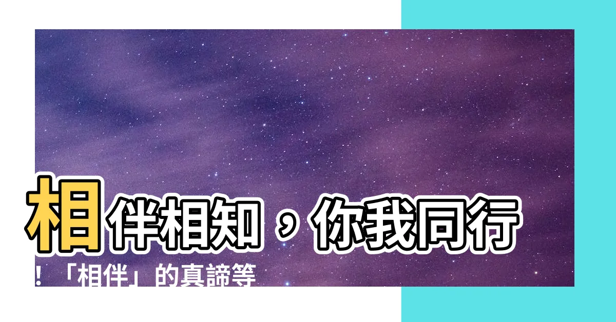 【相伴意思】相伴相知，你我同行！「相伴」的真諦等你來探索