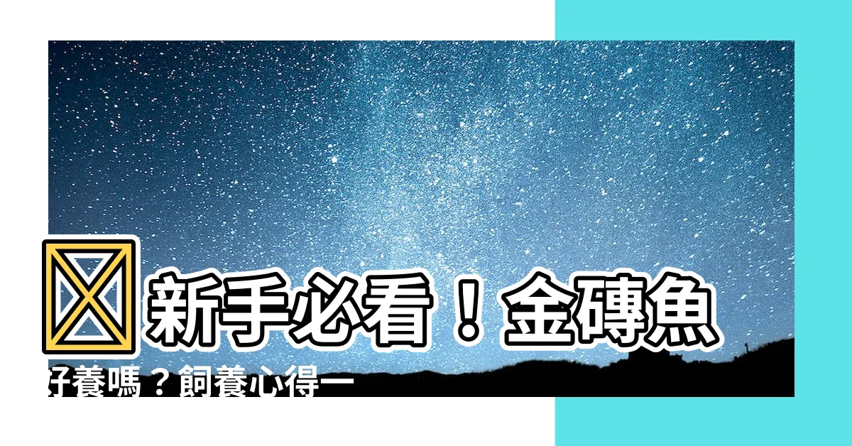 【金磚魚好養嗎】🔥新手必看！金磚魚好養嗎？飼養心得一次公開