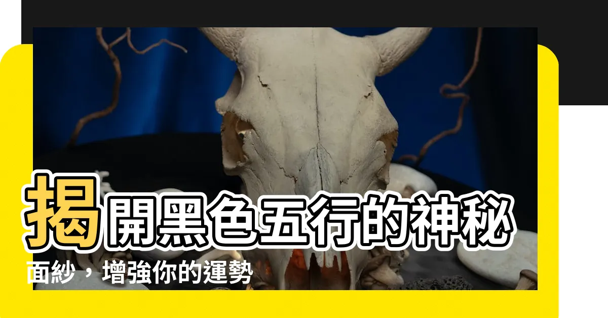 【黑色 五行】揭開黑色五行的神秘面紗，增強你的運勢！