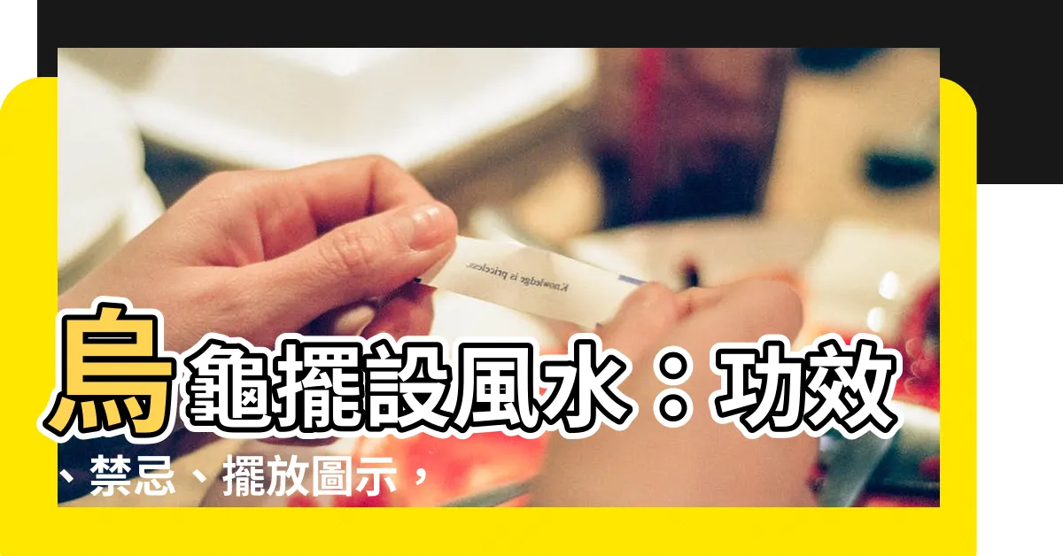 【烏龜擺設風水】烏龜擺設風水：功效、禁忌、擺放圖示，不可不知！