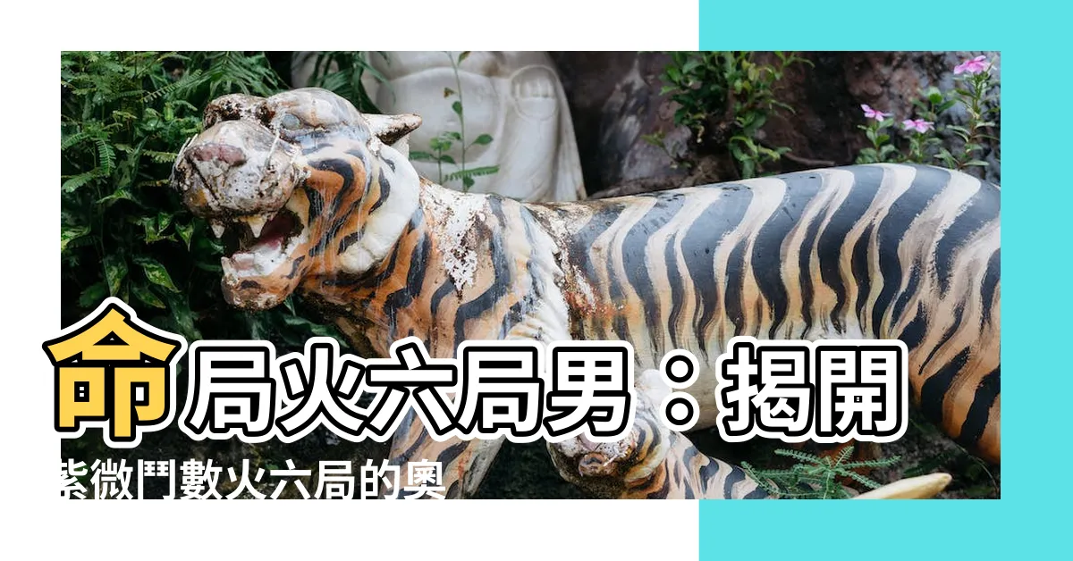 【命局火六局男】命局火六局男：揭開紫微鬥數火六局的奧秘