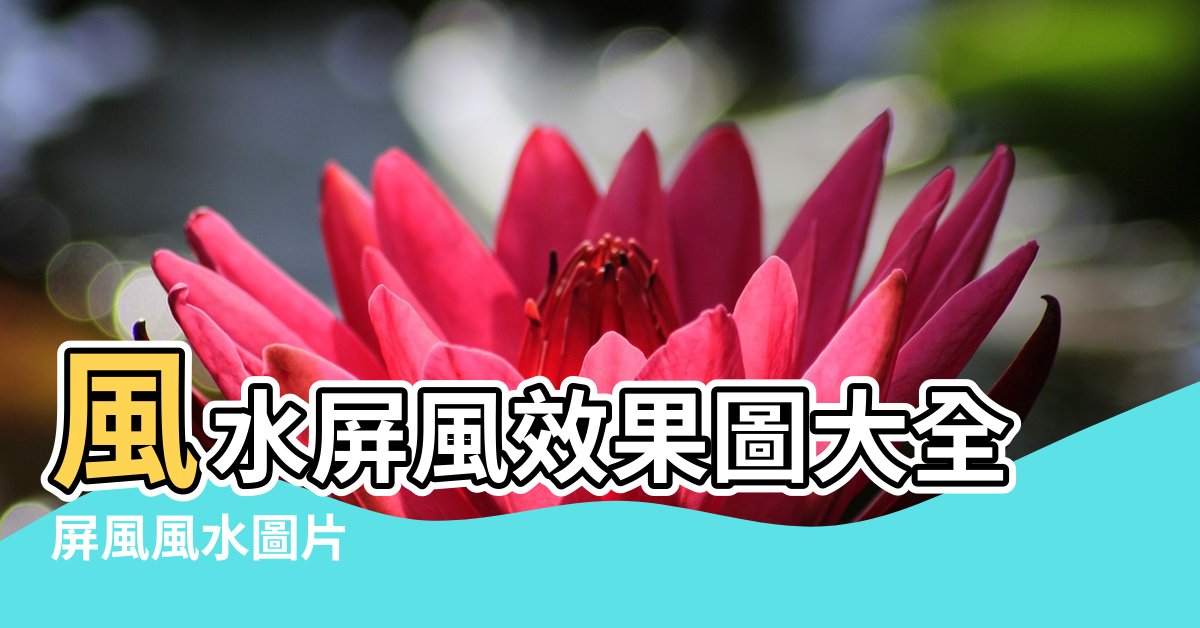【風水屏風 圖片大全】風水屏風效果圖大全 |屏風風水圖片 |進門屏風圖片大全風水 |