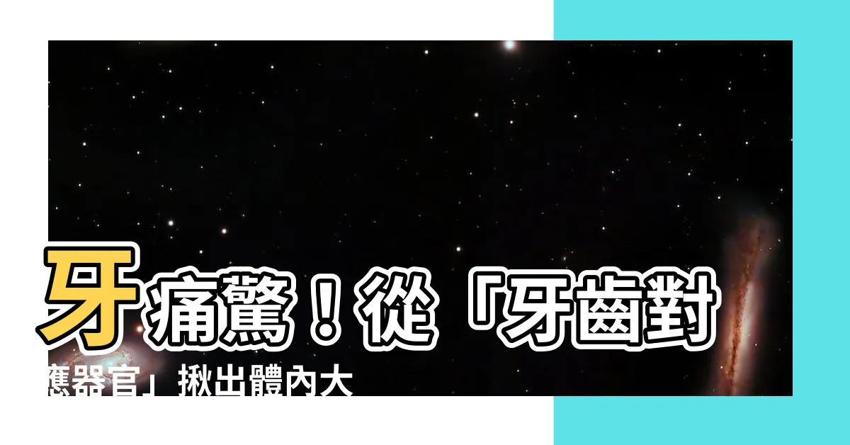 【牙齒對應器官】牙痛驚！從「牙齒對應器官」揪出體內大魔王
