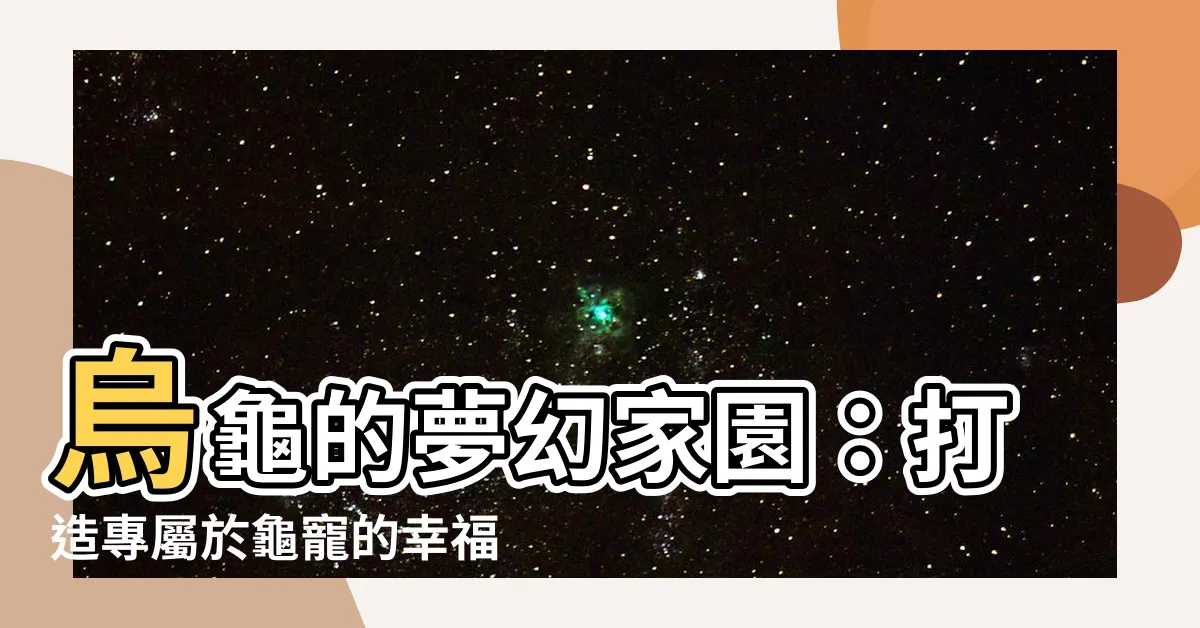 【烏龜 家】烏龜的夢幻家園：打造專屬於龜寵的幸福小窩