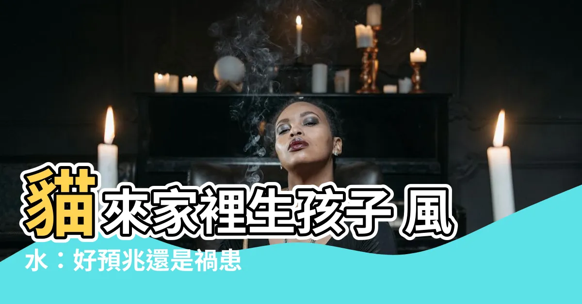 【貓來家裡生孩子 風水】貓來家裡生孩子 風水：好預兆還是禍患？