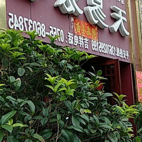 2、風水在秘書室中的重要性是什麼?