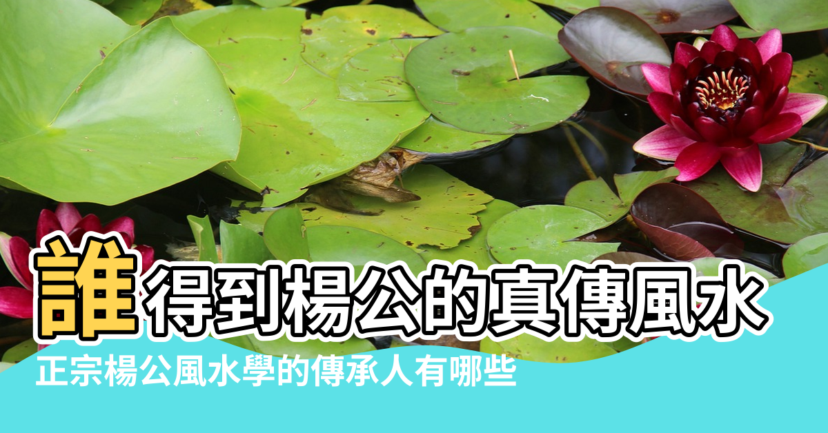 【當今正宗楊公風水傳人】誰得到楊公的真傳風水術 |正宗楊公風水學的傳承人有哪些 |楊公的風水故事 |