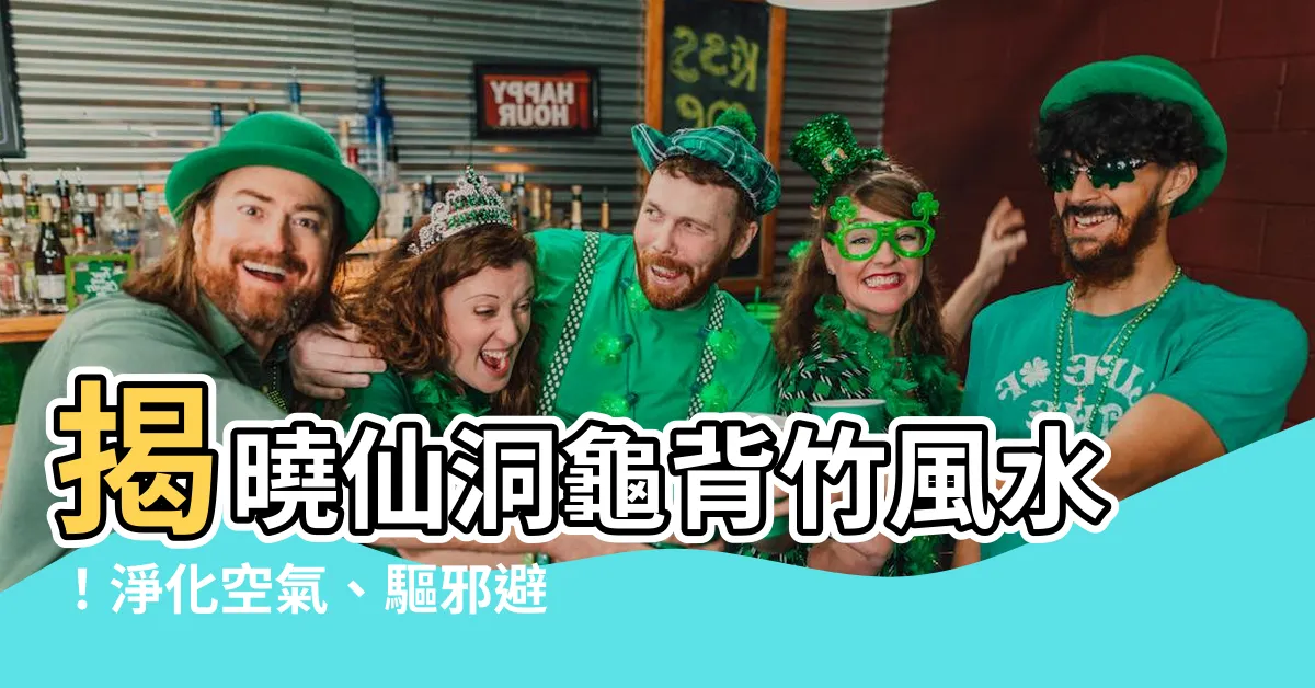【仙洞龜背竹風水】揭曉仙洞龜背竹風水！淨化空氣、驅邪避煞的擺放秘訣！