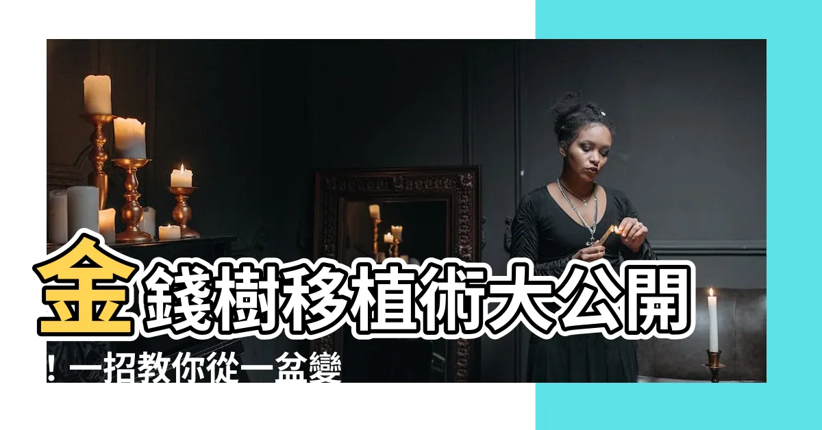 【金錢樹移植】金錢樹移植術大公開！一招教你從一盆變十盆，驚豔全場！