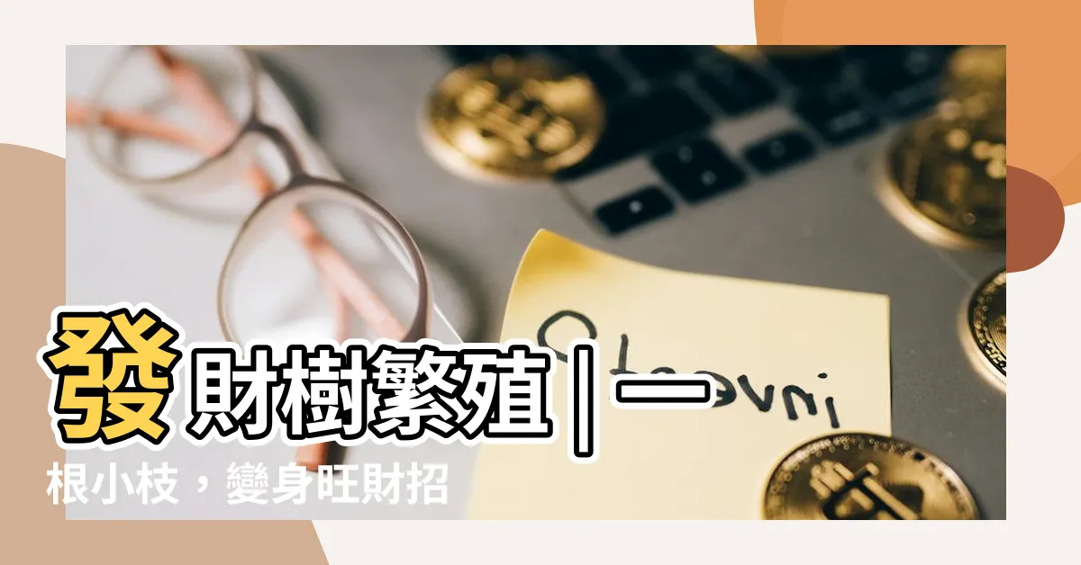 【發財樹繁殖】發財樹繁殖 | 一根小枝，變身旺財招財樹，輕鬆get！