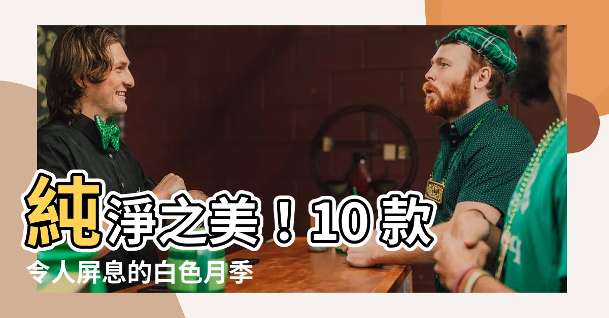【白色月季花】純淨之美！10 款令人屏息的白色月季花，點綴你的花園仙境