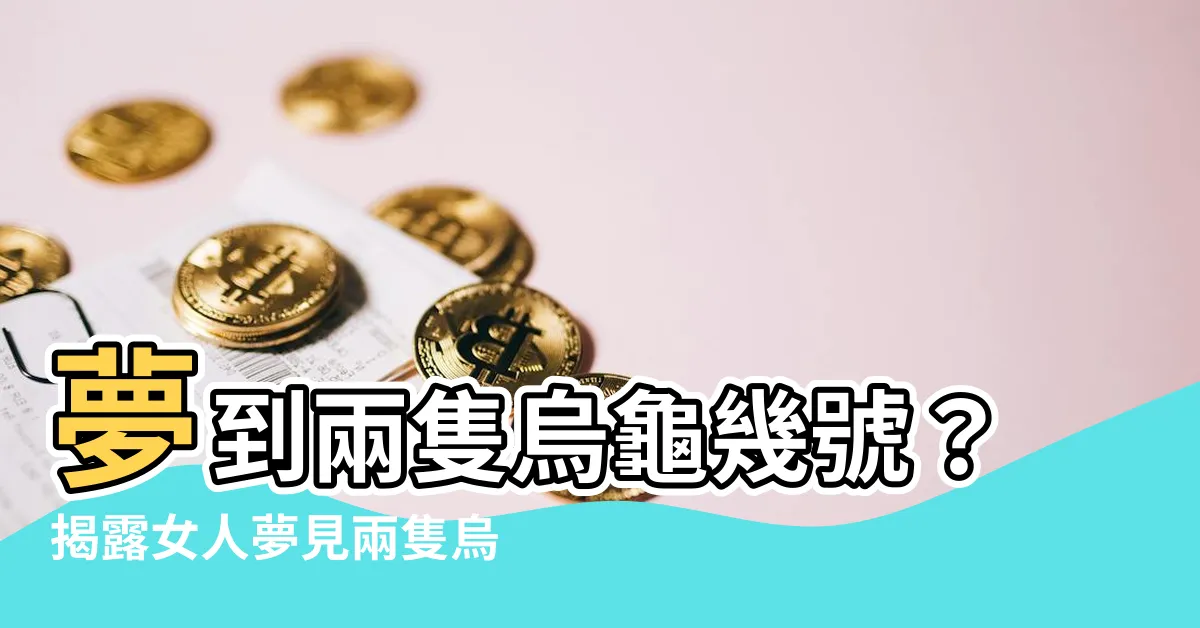 【夢到兩隻烏龜幾號】夢到兩隻烏龜幾號？揭露女人夢見兩隻烏龜的預兆！
