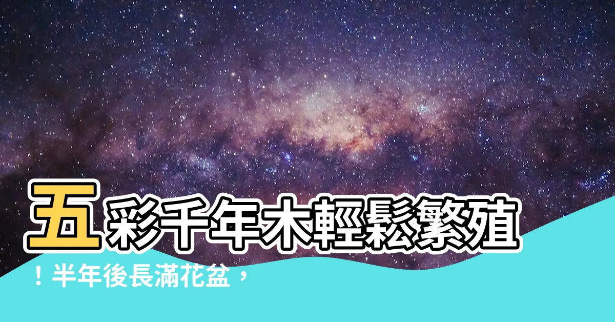 【五彩千年木繁殖】五彩千年木輕鬆繁殖！半年後長滿花盆，剪枝就能快速生根！