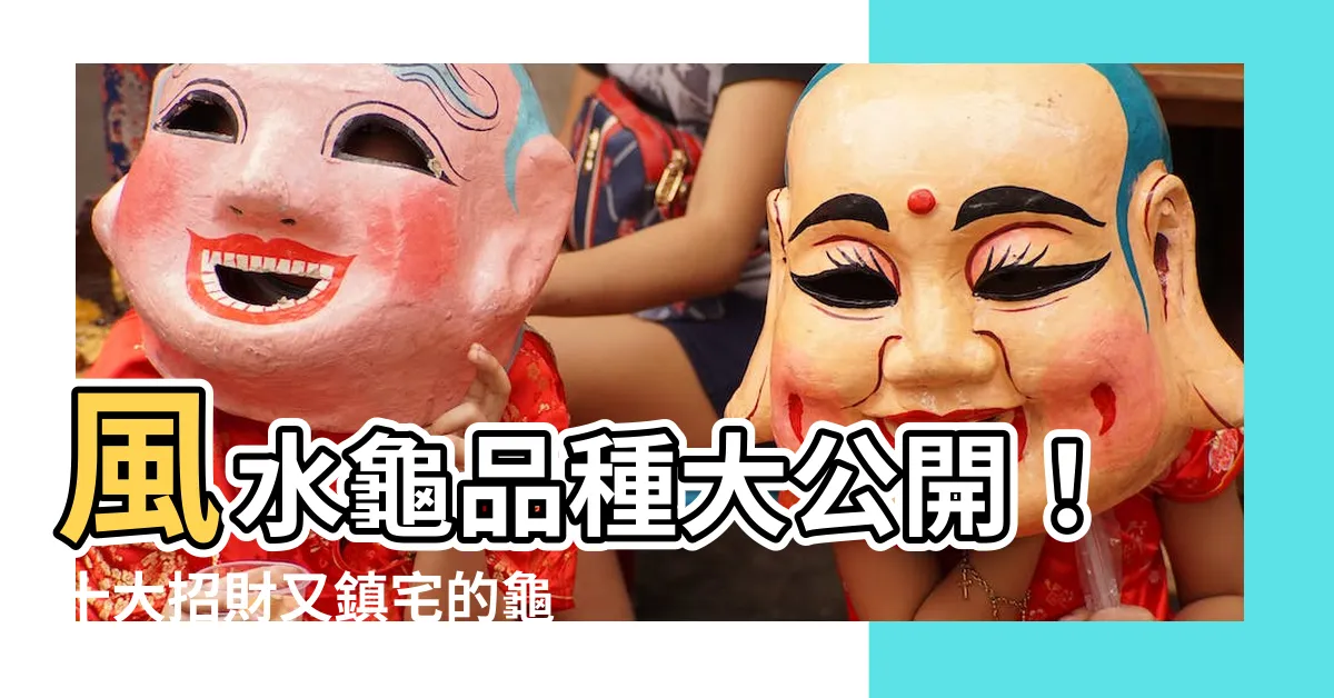 【風水龜品種】風水龜品種大公開！十大招財又鎮宅的龜品種推薦
