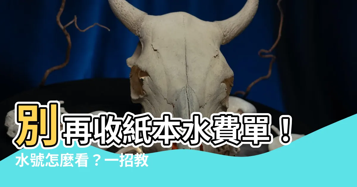 【水號怎麼看】別再收紙本水費單！水號怎麼看？一招教你線上查詢省2年水費！👀